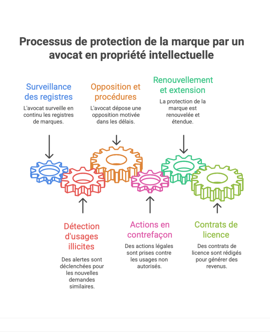 schéma du processus de protection la marque par un avocat PI